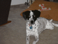 /album/jack/jack-floor-march-26-gif/