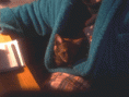 /album/cinnamon/cinnamon-sleeping-march-26-gif/