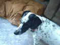 /album/jack/jack-where-27-gif/
